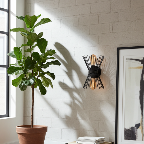 Applique murale starburst rayons métal noir mat jeux d'ombres mur briques ficus – Lumidestock
