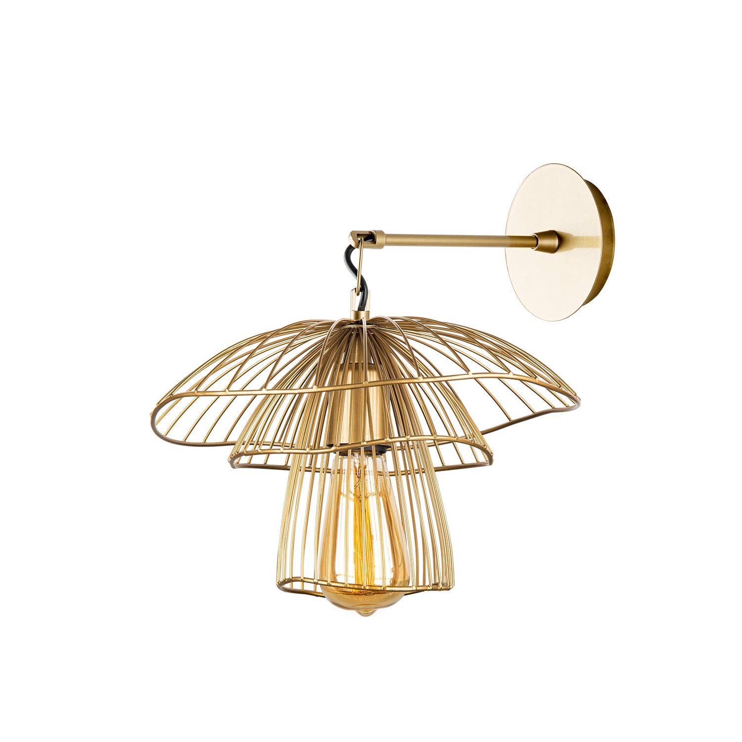 Structure champignon doré vue de profil