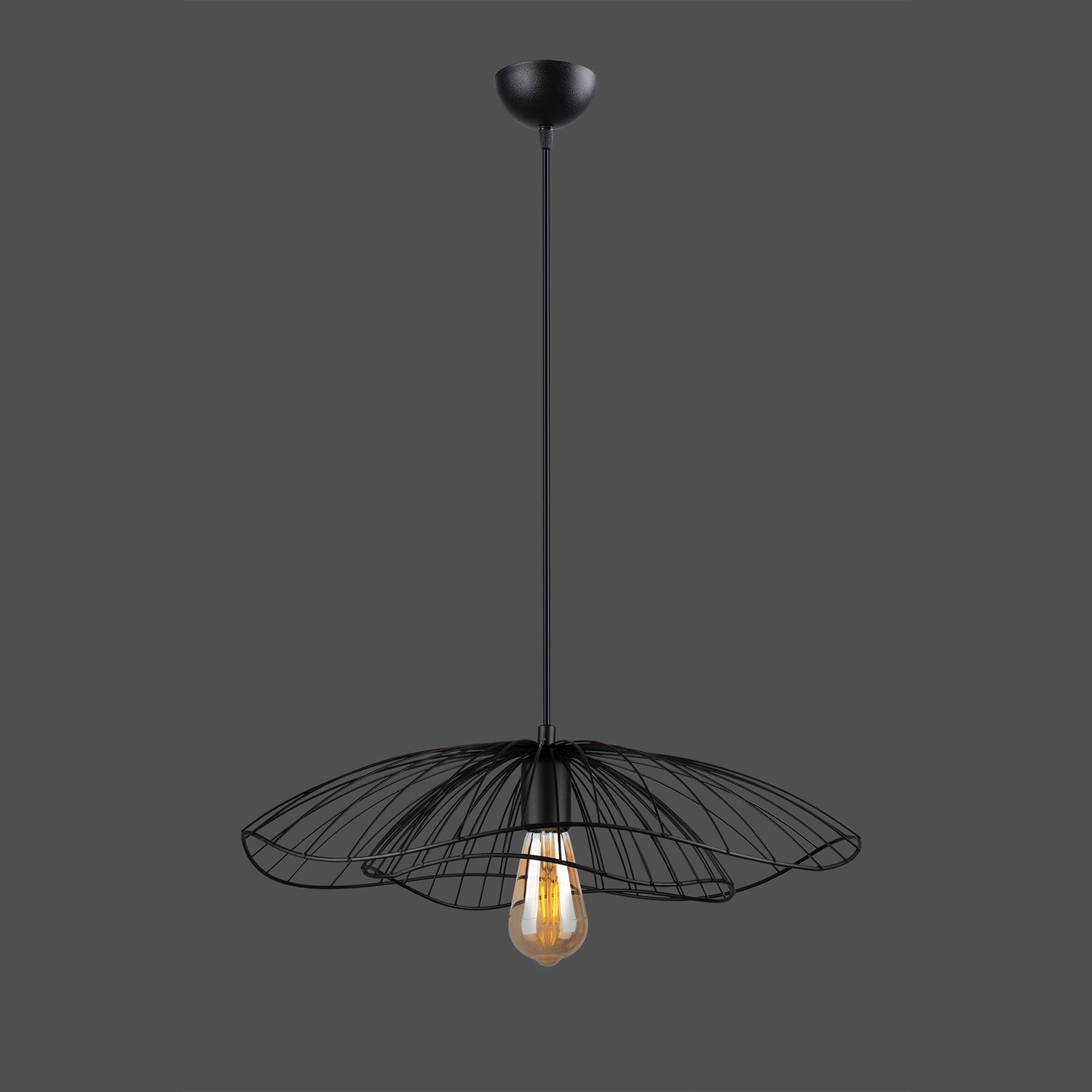 Lustre Suspendu Industriel Fil de Fer Noir - Design Cage